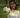 Dignity Coconuts to Shine at Expo West 2024: Empowering Communities, Eradicating Exploitation - Dignity Made