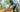 Earth Day: Impacting People and the Earth - Dignity Made