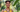 YOU Helped Train 250+ Teen Farmers 🌴 - Dignity Made