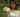 Dignity Coconuts to Shine at Expo West 2024: Empowering Communities, Eradicating Exploitation - Dignity Made